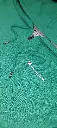 9d7efea1-a110-4015-ad0d-02d43fa956bb.webp
