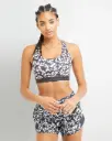 BRA CHAMPION ABSOLUTE SPORT